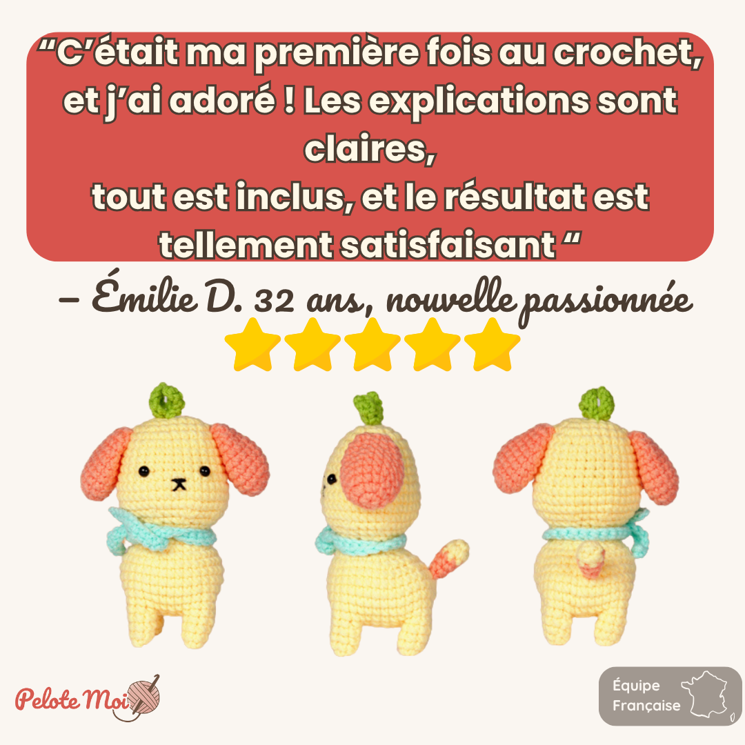 PeloteMoi - kit Crochet débutant