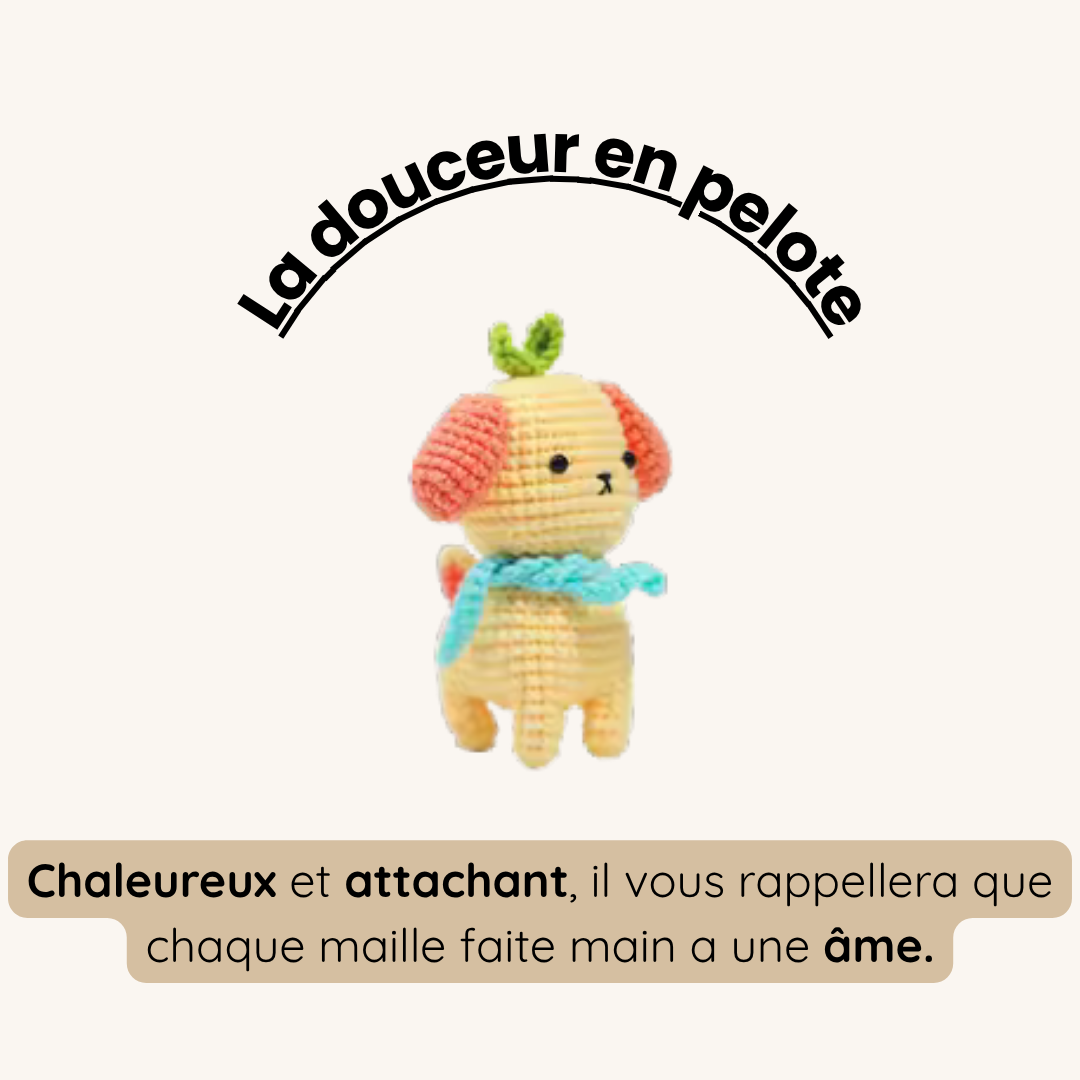 PeloteMoi - kit Crochet débutant